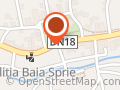 Consiliul Local Baia Sprie