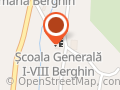 ŞCOALA CU CLASELE I-VIII BERGHIN