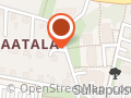 Kotiapu Aila