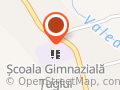 Şcoala Gimnazială Ţuglui