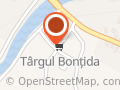 Târgul din Bonţida