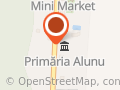 Primăria Alunu