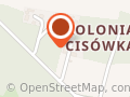 Cisowski Miód