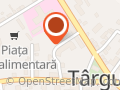 COZMA EMIL ŞTEFAN PERSOANĂ FIZICĂ AUTORIZATĂ