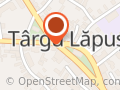 Cofetăria Gina Cakes Târgu Lăpuş