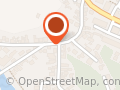 VIOREL SERVICE SRL