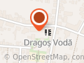 Colegiul National Dragos Voda