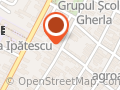 LISEO AUTO STORE SRL