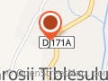 Primăria Groşii Ţibleşului