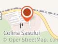 Colina Sasului