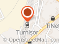 Turnişor