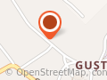 Guster Pizza