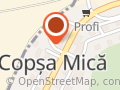 CAR OLIMPIA AGENTIA COPSA MICA