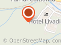 Hotel Trei Brazi Olanesti