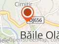 Pensiunea Casa Giulia Olăneşti
