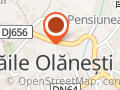 Olanesti Apartament