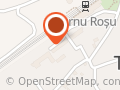 Centrul de Plasament Turnu Rosu