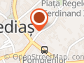 PF Precup Oana