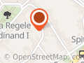 Regina Intim SRL