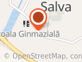 Primăria Comunei Salva