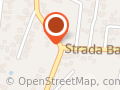 SC REDEVIL PESNIC SRL