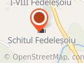Mănăstirea Fedeleşoiu
