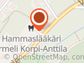 Hammaslääkäri Irmeli Korpi-anttila