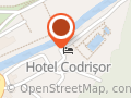 Hotel Codrişor