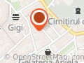 CROMATIC INTERNATIONAL SRL