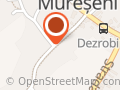 Promovari Auto Tg.Mures