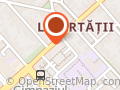 COBALT COM SRL