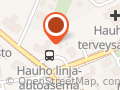 Hauhon pizza kebab