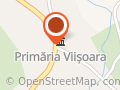 Primăria Viişoara