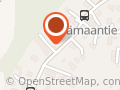 Bussman Lotta Tmi