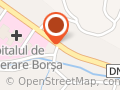 Titiana Mihali - Hotel-Restaurant Fratii Mihali Borsa