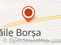 Bodnar Service Srl