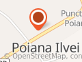 Politia Poiana Marului