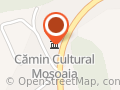 Primăria Comunei Moşoaia