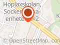 Elovainio Marja Tmi
