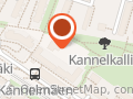 Akupunktio Neulasilla