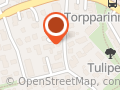 Tonteri Anssi