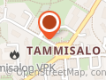 Tammisalon kirkko