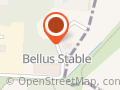 Bellus Stable Oy