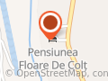 Pensiunea Floare de Colt , Dragoslavele