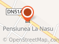 Pensiunea "La Nasu"