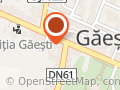 Vector Broker Gaeşti