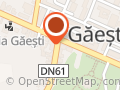 Mihaela Travel Gaesti