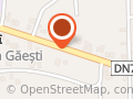 Vanesica Plast SRL