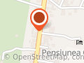 Pensiunea Gentiana Restaurant
