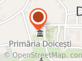 CONSILIUL LOCAL DOICEŞTI
